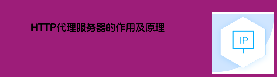 流量代理ip
